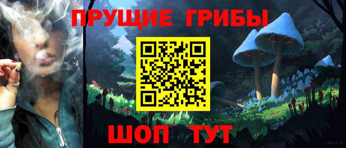 Псилоцибиновые грибы Cubensis  наркота  Вход с VPN  Владивосток  Галлюциногенные грибы GOLDEN TEACHER 