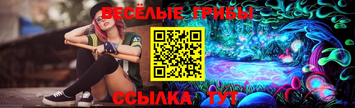 Псилоцибиновые грибы MAGIC MUSHROOMS Владивосток